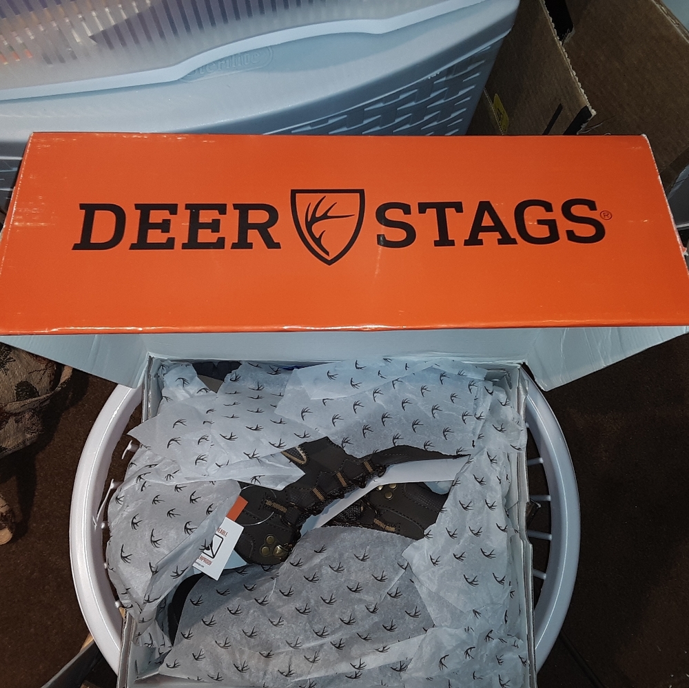 Deer Stags hiking boots